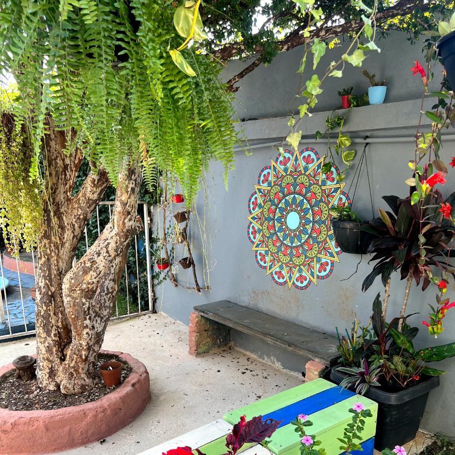 Casa Jardim Hostel Bh - Santa Efigenia - Paraiso 벨루오리존치 외부 사진