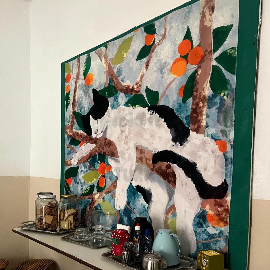 Casa Jardim Hostel Bh - Santa Efigenia - Paraiso 벨루오리존치 외부 사진
